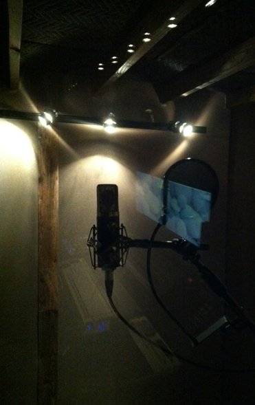 The vocal booth: a condenser microphone with a pop filter under warm spotlights